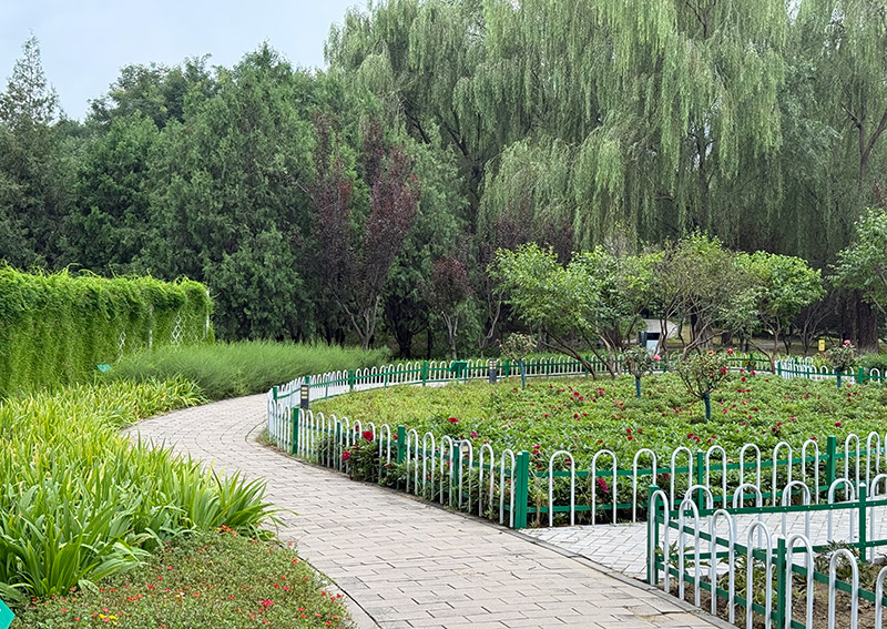 福州市园林中心关于对福州市2024年“迎盛会·庆国庆”城市景观提升暨园林造景技能